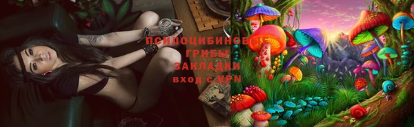 трава Алзамай