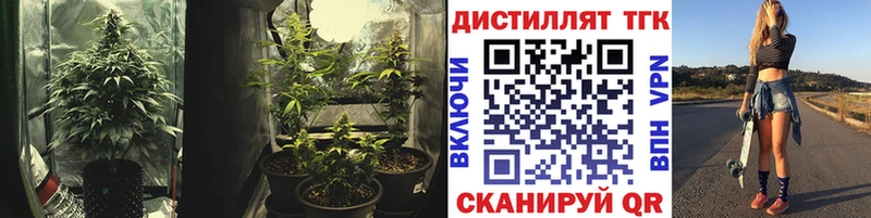 купить наркоту  Иланский  ТГК вейп 