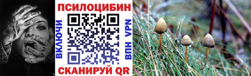 Псилоцибиновые грибы Psilocybe  Иланский 